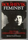 Bolshevik Feminist The Life of Aleksandra Kollantai