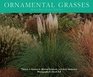 Ornamental Grasses Design Ideas Uses  Varieties