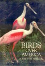 Birds over America