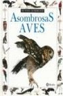 Asombrosas Aves