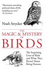 The Magic and Mystery of Birds The Surprising Lives of Birds and What They Reveal About Being Human