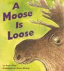 A Moose is Loose