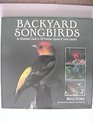 Backyard Songbirds An Illustrated Guide to 100 Familiar Species of North America