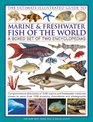 The Ultimate Illustrated Guide to Marine  Freshwater Fish of the World