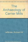 The Archaeology of Carrier Mills: 10,000 Years in the Saline Valley of Illinois