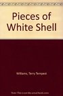 Pieces of White Shell