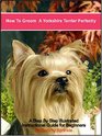 How to Groom a Yorkshire Terrier Perfectly A Step by Step Illustrated Guide for Grooming Your Yorkshire Terrier