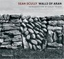 Sean Scully Walls of Aran