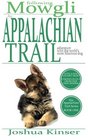 Following Mowgli An Appalchian Trail Adventure With the World's Most Hilarious Dog