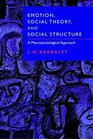 Emotion Social Theory and Social Structure  A Macrosociological Approach