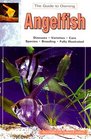 The Guide to Owning Angelfish Disease Varieties Care Species Breeding