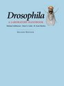 Drosophila A Laboratory Handbook