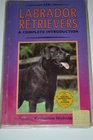 A Complete Introduction to Labrador Retrievers