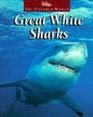 Great White Sharks