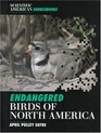 Endangered Birds Of North Amer