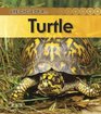 Turtle 2nd Edition
