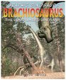 Brachiosaurus The Longlimb Dinosaur