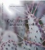 Cactus  Succulents