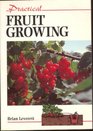 Practical Fruit Growing