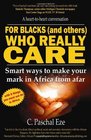 For Blacks (and others) Who Really Care: Smart ways to make your mark in Africa from afar
