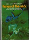Fishes of the sea The coastal waters of the British Isles northern Europe and the Mediterranean