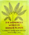 The wondrous world of seedless plants