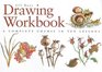 Drawing Workbook A Complete Course in Ten Lessons