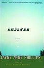 Shelter  A Novel