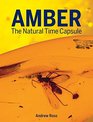 Amber The Natural Time Capsule