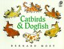 Catbirds  Dogfish