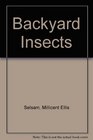 Backyard Insects