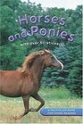 Read and Discover Horses and Ponies
