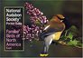 National Audubon Society Pocket Guide to Familiar Birds: Eastern Region : Eastern (The Audubon Society Pocket Guides)