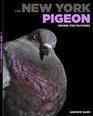 The New York Pigeon Behind the Feathers