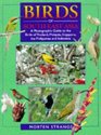 Birds of South East Asia A Photographic Guide to the Birds of Thailand Malaysia Singapore the Philippines and Indonesia