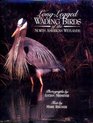 LongLegged Wading Birds of the North American Wetlands