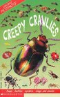 Creepy Crawlies (Usborne Hotshots)