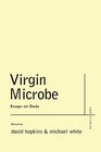 Virgin Microbe Essays on Dada