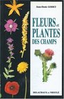 Fleurs et plantes des champs