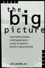 The Big Picture The Professional Photographer's Guide to Rights Rates  Negotiation