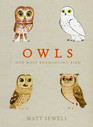 Owls Our Most Enchanting Bird