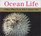 Ocean Life (Golden Photo Guide)