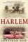 Harlem: The Four Hundred Year History from Dutch Village to Capital of Black America