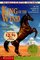 King of the Wind - Newbery Promo '99 : The Story of the Godolphin (Aladdin Fiction)