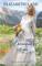 The Borrowed Bride (Seavers Brides, Bk 1) (Harlequin Historicals, No 920)