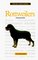 A New Owner's Guide to Rottweilers