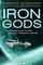 Iron Gods: A Novel of the Spin (Spin Trilogy, 2)