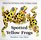 Spotted Yellow Frogs : Fold-out Fun with Patterns, Colors, 3-D Shapes, Animals