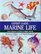 Marine Life: From Tropical Reef Fish to Mighty Sharks (Expert Guide)