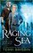 Raging Sea (Stone Circles, Bk 2)